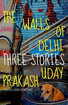 WALLS OF DELHI THE