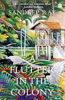 FLUTTER IN THE COLONY