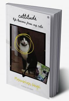 Cattitude