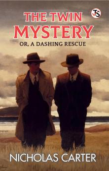 The Twin Mystery Or A Dashing Rescue