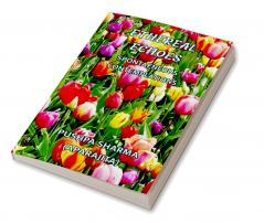 ETHEREAL ECHOES : SPONTAENEOUS CONTEMPLATIONS