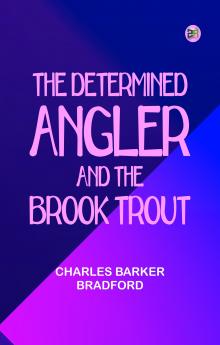 The Determined Angler and the Brook Trout
