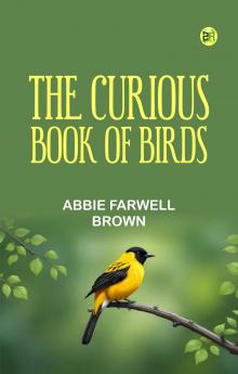 The Curious Book of Birds
