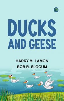 Ducks and Geese