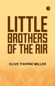 Little Brothers of the Air