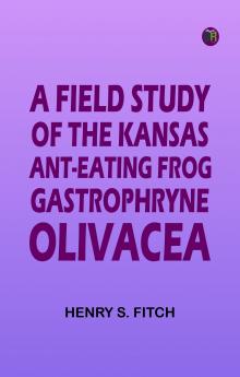 A Field Study of the Kansas Ant-Eating Frog Gastrophryne olivacea