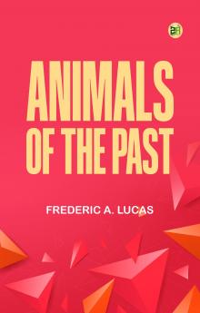 Animals of the Past