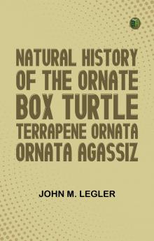 Natural History of the Ornate Box Turtle Terrapene ornata ornata Agassiz