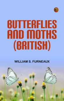 Butterflies and Moths (British)