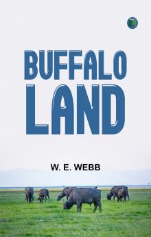 Buffalo Land
