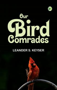 Our Bird Comrades
