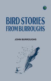 Bird Stories from Burroughs