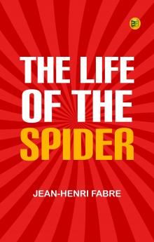 The Life of the Spider
