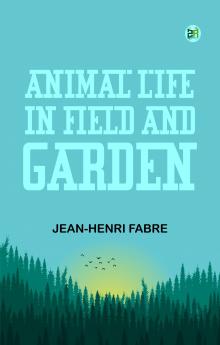Animal Life in Field and Garden