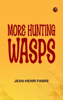 More Hunting Wasps