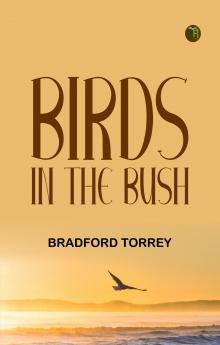 Birds in the Bush