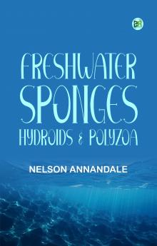 Freshwater Sponges Hydroids & Polyzoa