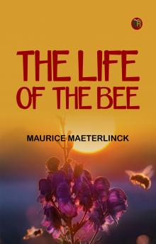 The Life of the Bee