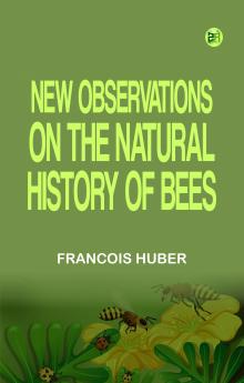 New observations on the natural history of bees
