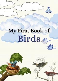 My First Book of Birds
