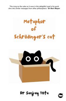 Metaphor Of Schrödinger's Cat