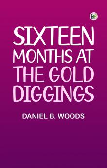 Sixteen months at the gold diggings