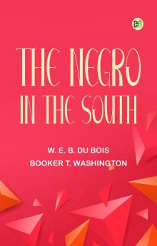 The Negro in the South