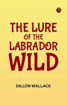 The Lure of the Labrador Wild