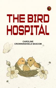 The Bird Hospital