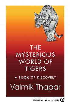 The Mysterious World of Tigers: A Book of Discovery