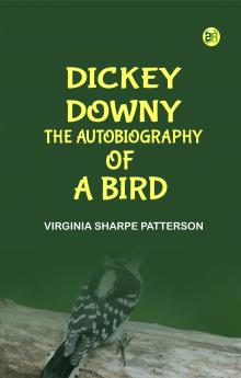 Dickey Downy The Autobiography of a Bird