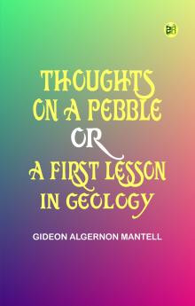 Thoughts on a Pebble  or  A First Lesson in Geology