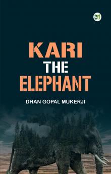 Kari the Elephant