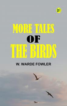 More Tales of the Birds