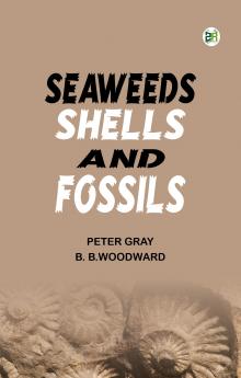SeaWeeds Shells and Fossils