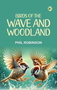 Birds of the wave and woodland