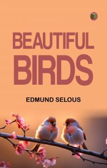Beautiful Birds