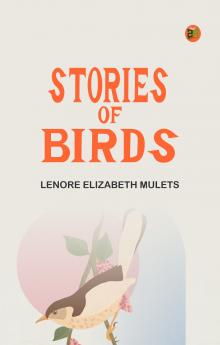 Stories of Birds