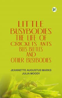 Little Busybodies: The Life of Crickets  Ants  Bees  Beetles  and Other Busybodies