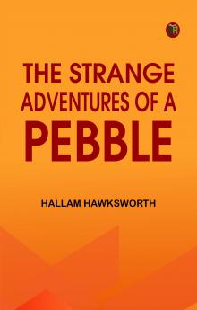 The Strange Adventures of a Pebble