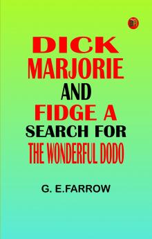 Dick Marjorie and Fidge A Search for the Wonderful Dodo