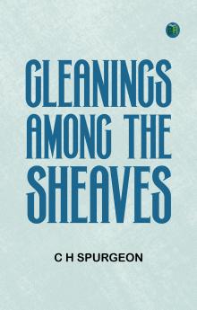 Gleanings among the Sheaves