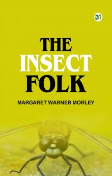 The Insect Folk
