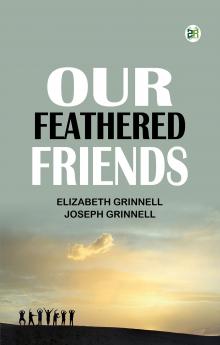 Our Feathered Friends