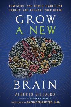 GROW A NEW BRAIN:HOW SPIRIT AND POWER PLANTS CAN PROTECT AND UPGRADE YOUR BRAIN