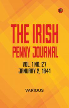 The Irish Penny Journal Vol. 1 No. 27 January 2 1841