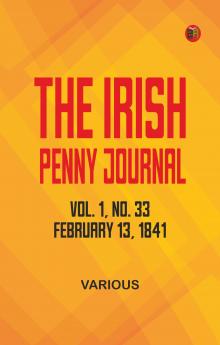 The Irish Penny Journal Vol. 1 No. 33 February 13 1841