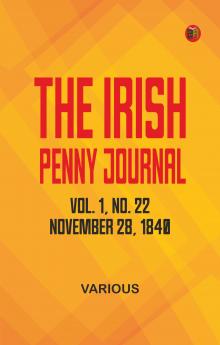 The Irish Penny Journal Vol. 1 No. 22 November 28 1840