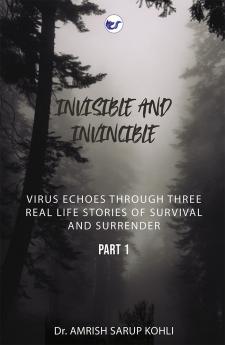 INVISIBLE AND INVINCIBLE