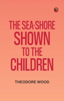 The Sea-Shore Shown to the Children